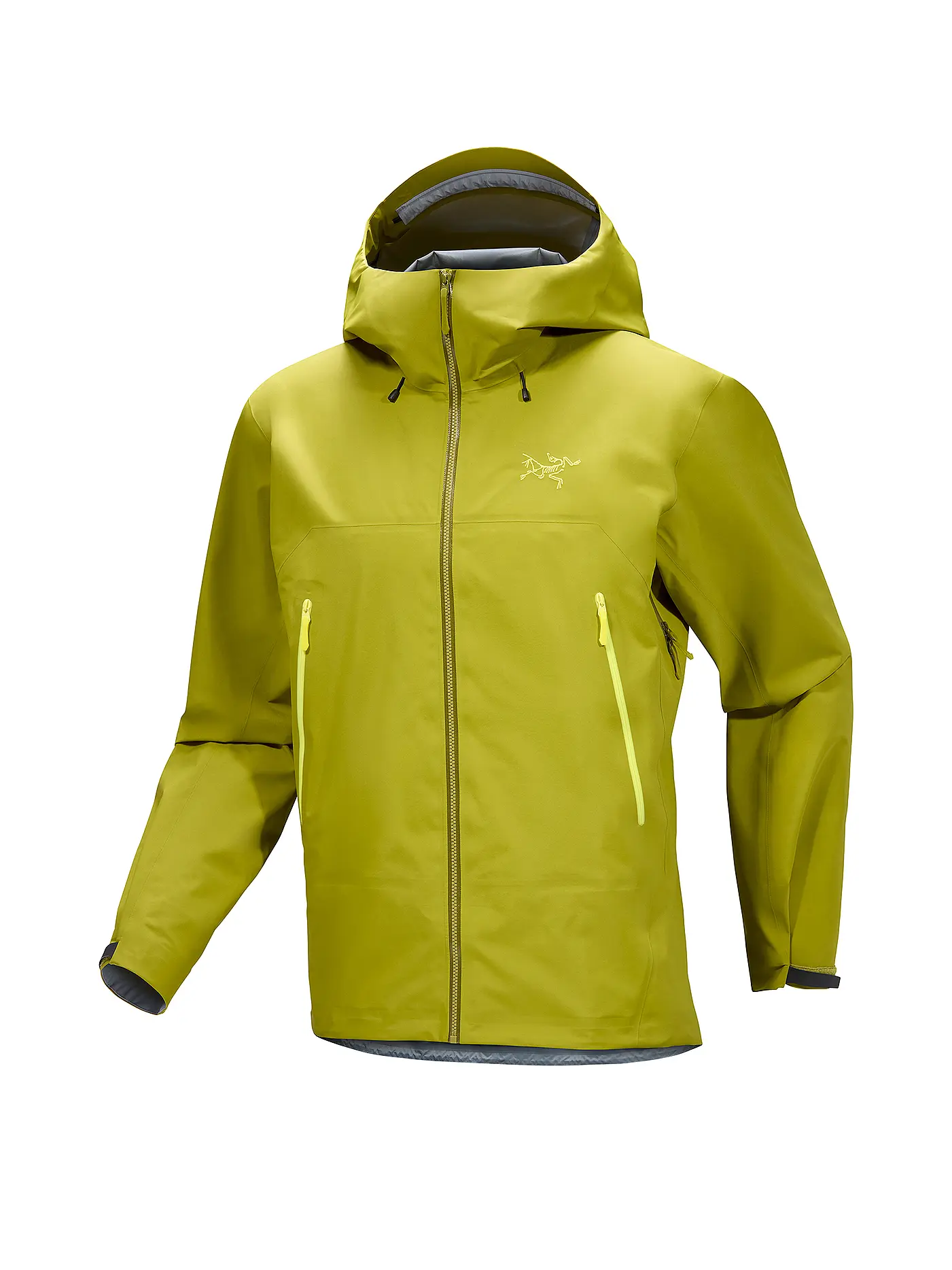 ARCTERYX | Herren Tourenjacke Beta SL GTX Hoodie | 
